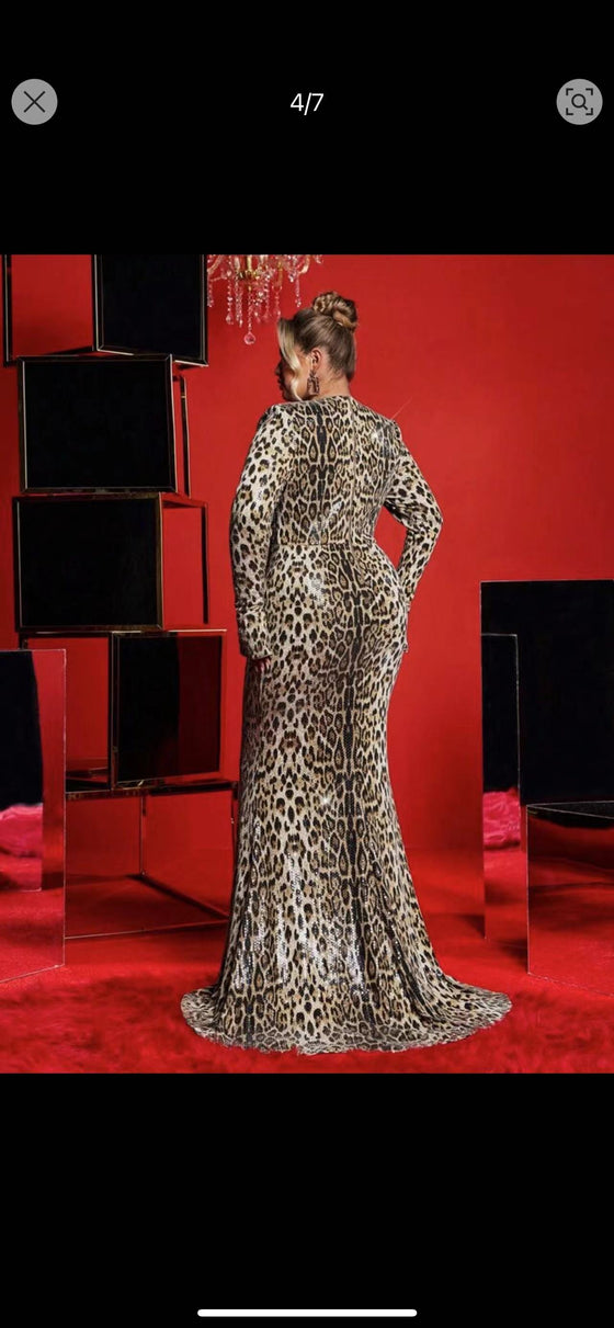 Sequins  luxury
